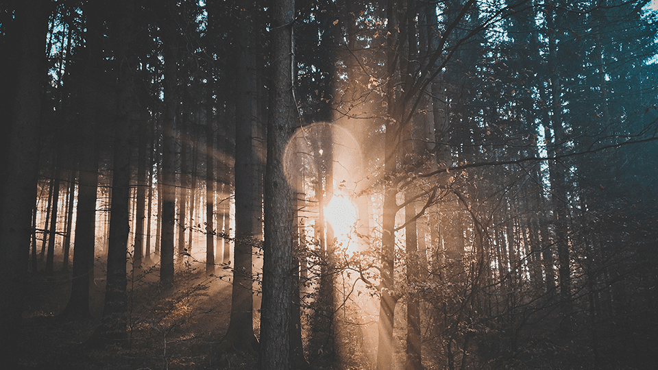 Dansk kvalitet siden 1999